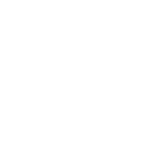 next-level-consultants-icon-bars next-level-consultants-icon-bars